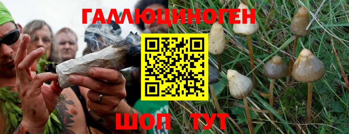 Псилоцибиновые грибы мухоморы Волжский