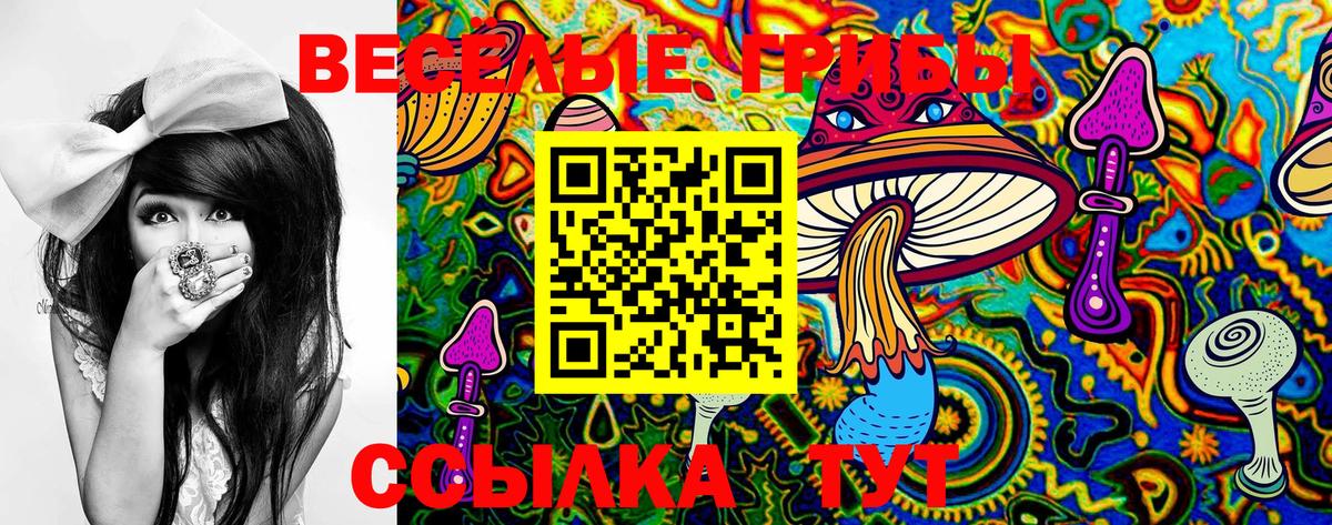 Галлюциногенные грибы Psilocybe  Вход с VPN  Галлюциногенные грибы мицелий  Волжский 